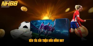 Bật Mí Cách Đọc Kèo Tài Xỉu Trận Đấu Hôm Nay Cho Newbie