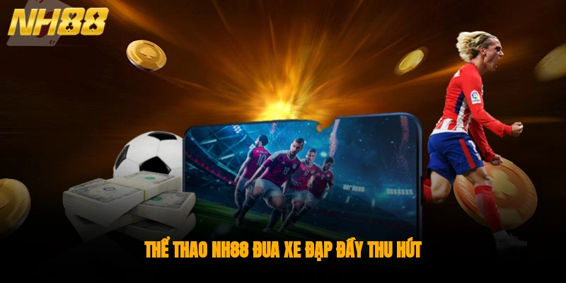 Tổng hợp các sản phẩm Thể thao NH88